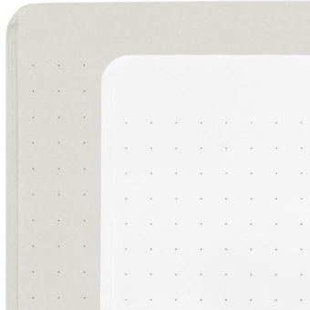 Midori Color Dot Grid 