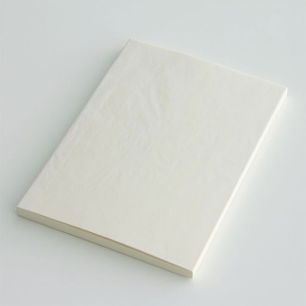 Midori Notebook Blank 