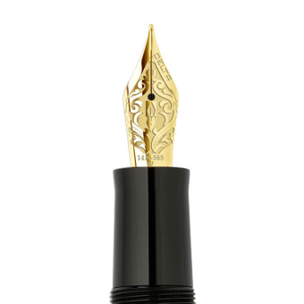 Delta Dolce Vita Glow up KP Fountain pen 