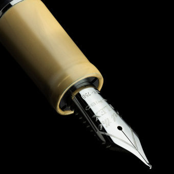 SCRIBO Piuma Hane Murakumo Ruthenium Fountain Pen