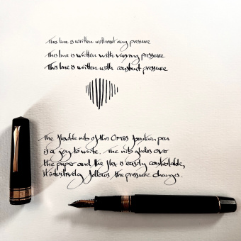 OMAS Bologna Limited Edition 150625 fountain pen